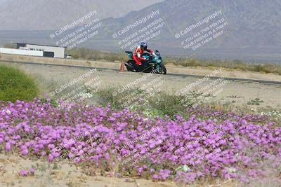 media/Feb-04-2023-SoCal Trackdays (Sat) [[8a776bf2c3]]/Turn 15 Inside Blooming (1050am)/